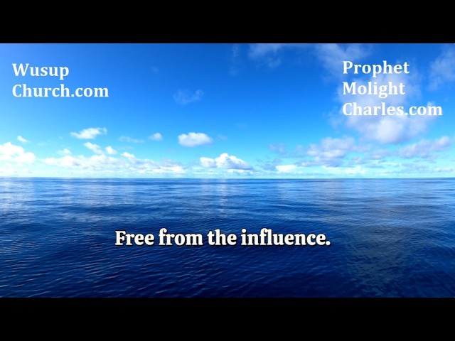 Free From The Influence!
