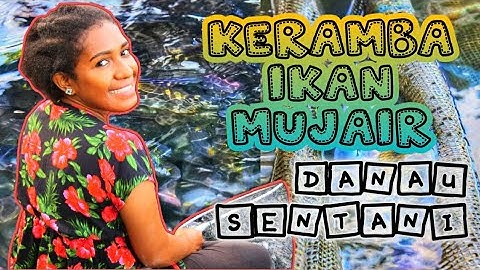 Keramba Ikan Mujair Danau Sentani || Kampung Kwadeware - Sentani Barat