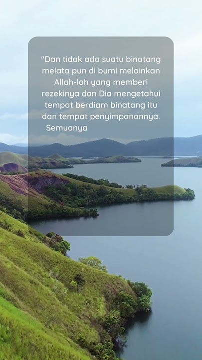 Ayat Al Quran tentang Rezeki #shorts #motivasi #hijrah #alquran