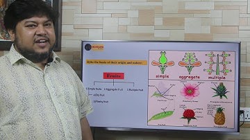 JSC(English Version)Chapter 4,Part 4