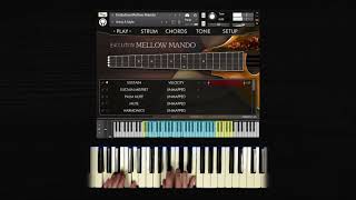 How to Play Realistic Mandolin Chord Voicings with Evolution Mellow Mando
