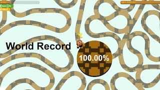 Paper.io 2 Map Control: 100.00% World Record