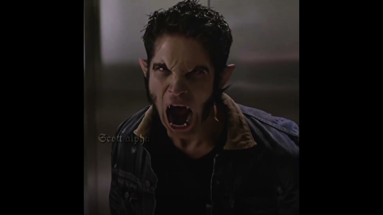 Bro Explained Everything Clearly Teenwolf Scottmccall Truealpha Werewolf Tylerposey Edit