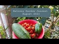 Balcony Garden Update August 2021 zone 7b
