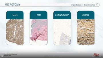 Digital Ready Slides