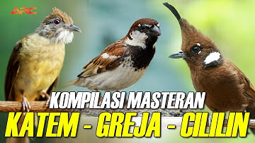 KOMPILASI MASTERAN CILILIN - KAPAS TEMBAK - GREJA TARUNG | AUDIO HD
