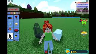 BUILD A BOUT BUYTO GET ROSUES SWORD OF AGILTY ENJOY