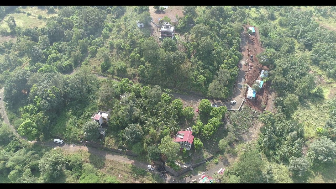 Flori hills back to nature