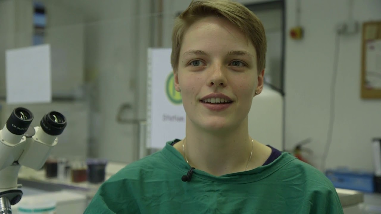 Ein Querschnitt durch die MTA-Ausbildung