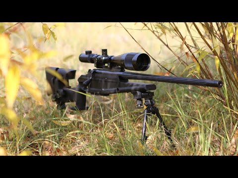 Capa de Винтовка Blaser R96 – революционный консерватизм