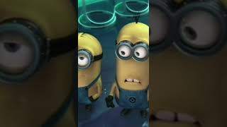 Os Minions Torpedo