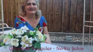 Gölgedeki Duygular - Nerkiz Şahin (Kitap röportajı)