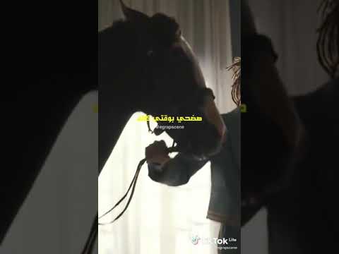 مروان بابلو مش شايفكوا