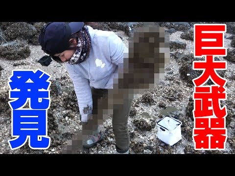 父に連れられて干潟へ行ってみたら…