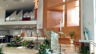 St. Thomas More 10am Mass  Fifth Sunday of Easter 05-03-2026