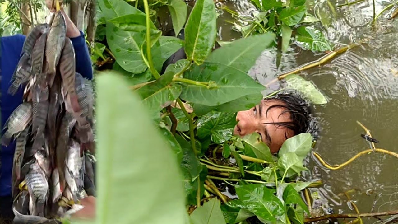 Catching fish using Hands #handfishing - YouTube
