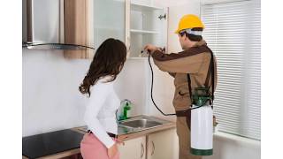 Termite Control near Prosper, TX - Benefits of Termite Inspection Service
