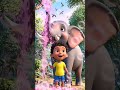 This Cute Elephant Video Will Melt Your Heart 🥹