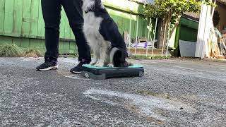 Twirl module 2 lesson 2 repeat