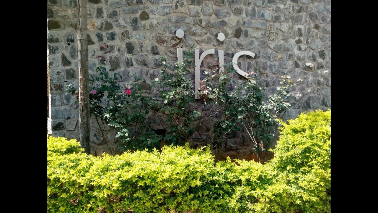 Iris society Cummins balewadi I ON BALEWADI HIGH STREET 9325213309 Property ID-046