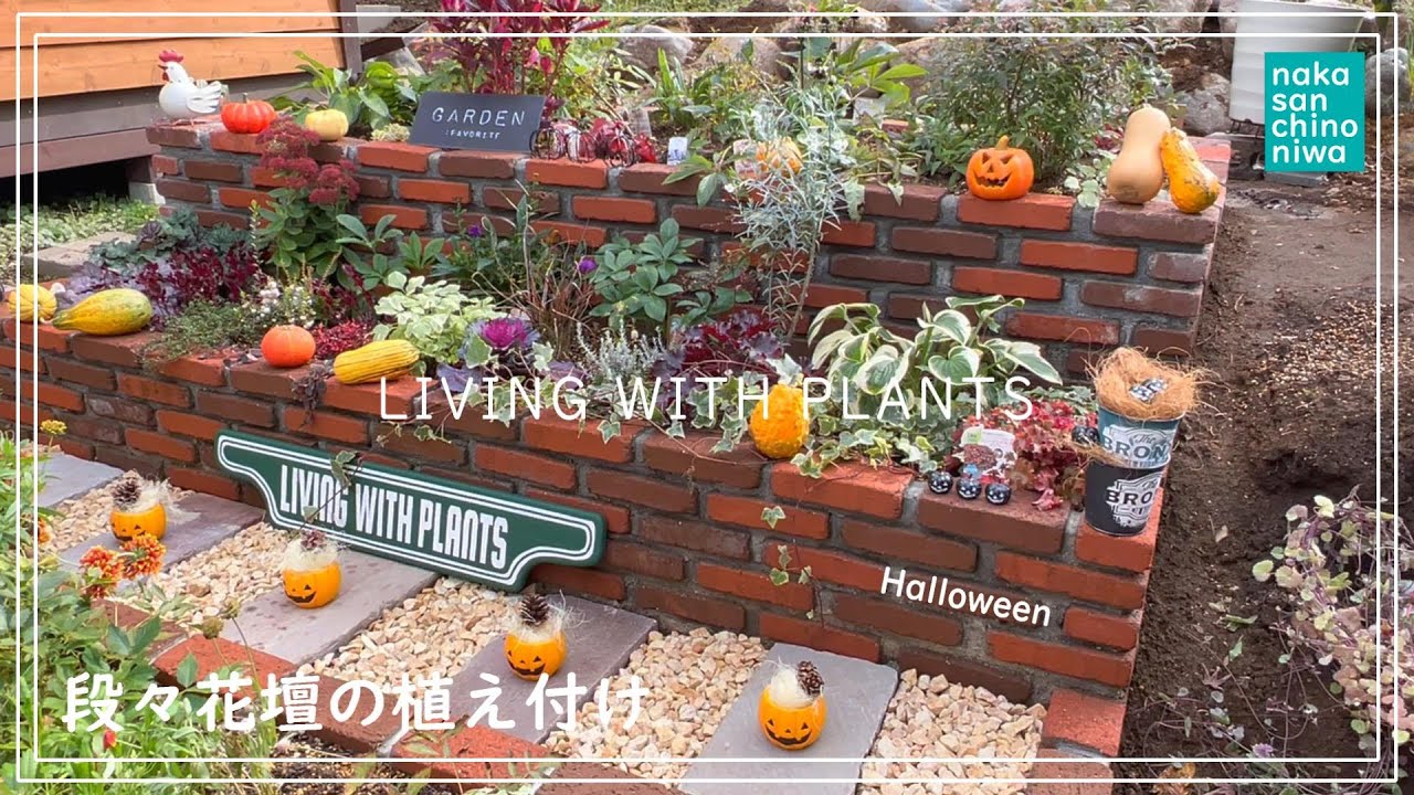 お花紹介 段々花壇の植え付け ハロウィン Halloween 装飾 Youtube