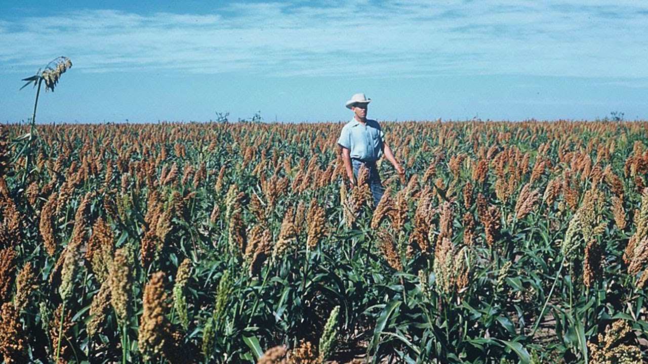 807+/ Acres in Meade, KS Reimer Estate YouTube
