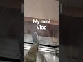 Chotu sa Vlog 🤣 #funny #vlogs #reels #funtrends #shortvlog