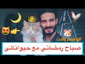 روتيني الصباحي مع حيواناتي بالمزرعه 😍💕 و الهامستر ولدت 🐹 / Mohamed Vlog