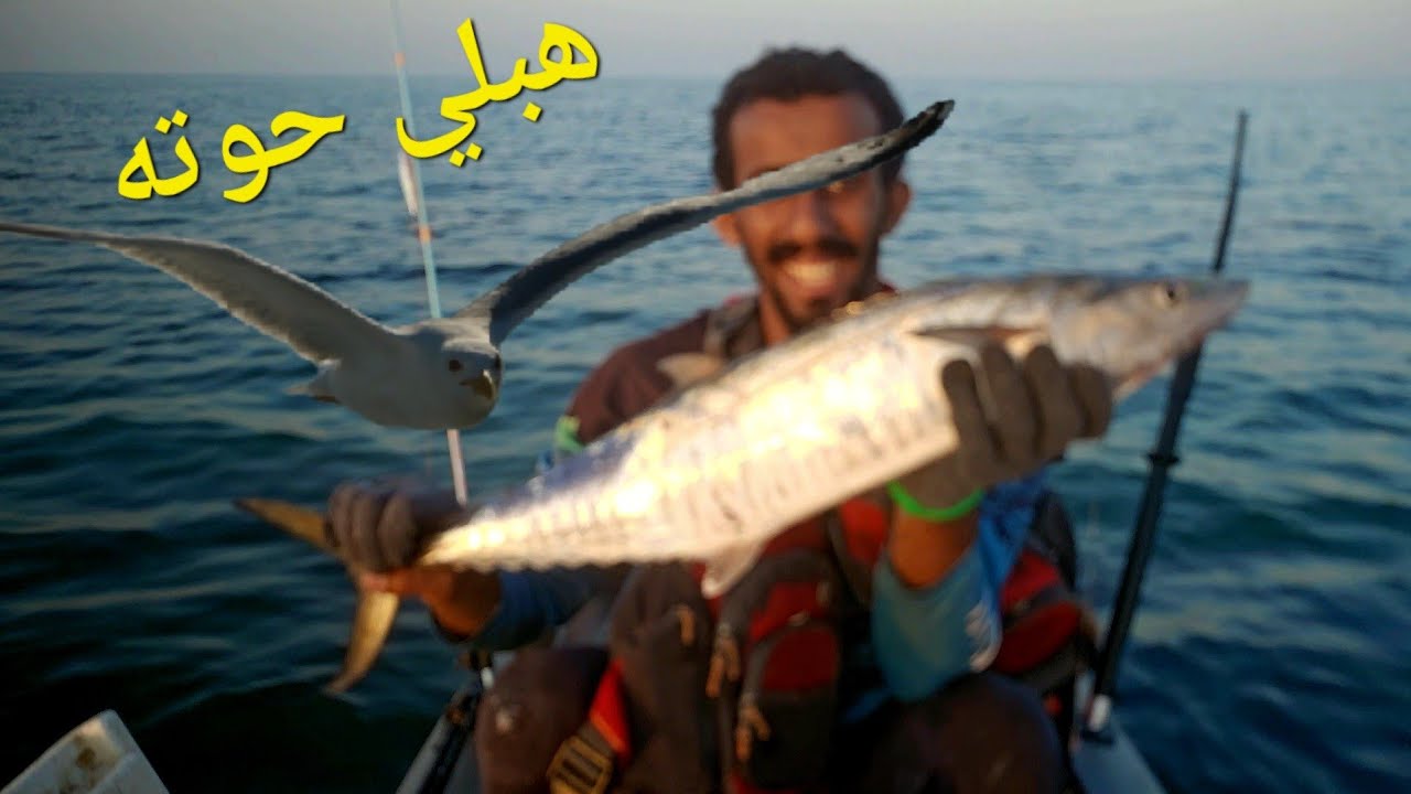 طيور اخر زمن / طلعة كاياك