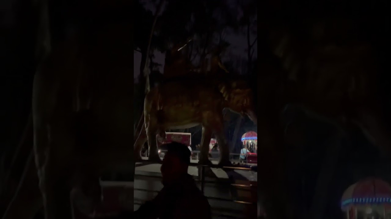 Night out at dhanpal mela 😮😍