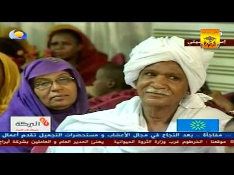 جمال فرفور أستاهل أنا