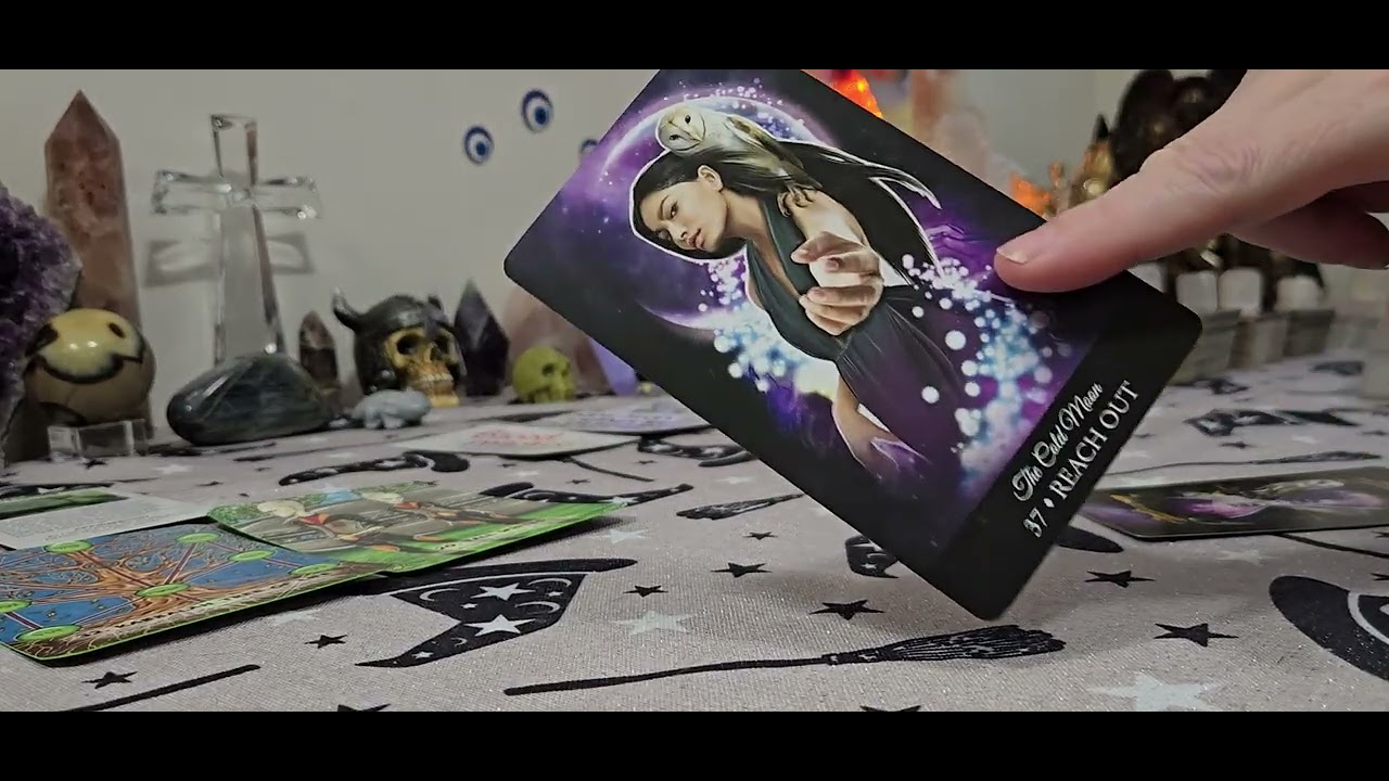 Телец ♉️ Гиены больше не смеются, я думал, ты овца, а тут появился чертов лев