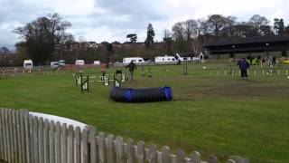 Mike & Bailey Grade 1-3 Jumping TAG Easter