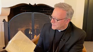 “Catholic Social Teaching Collection” (Word on Fire Classics) - New Book!