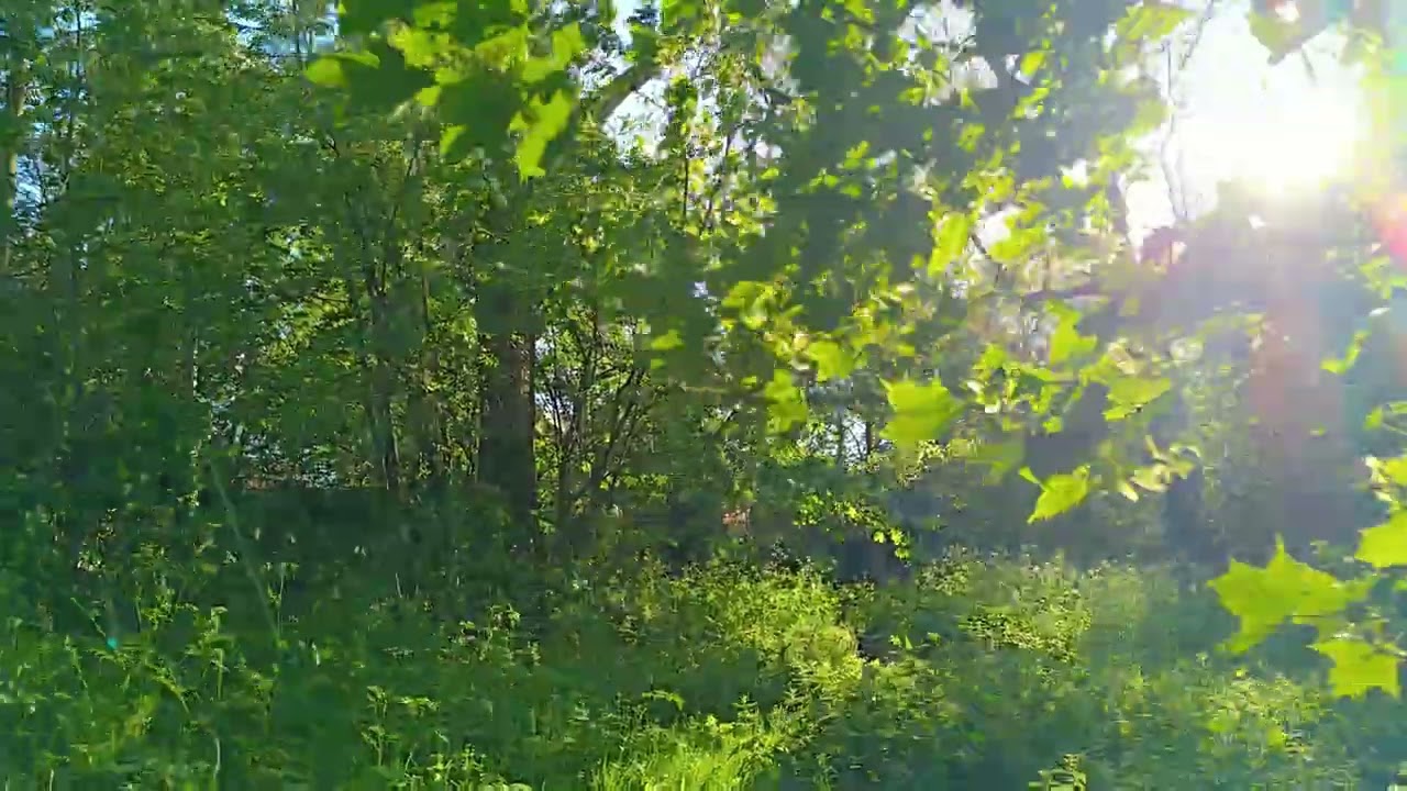 Xiaomi Redmi Note 12 Pro + 5G Sample Video (4K, Handheld)