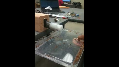 Autonomous food dispenser for an Aquaponic System-- utilizing Arduino UNO