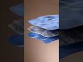 Fabric Layers 3d Animation | Blender #blender3d #clothsimulation #blenderanimation #blender