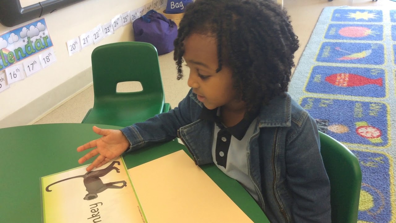 Animal description - YouTube