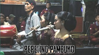 Lagu Tayub Pambuko Terbaru | Pepeling – Campursari Sapto Budoyo