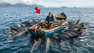 Dolphins Surrounded The Boat. When The Fisherman Looked Under The Water, He Understood Everything