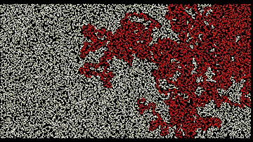 DFS  Visualization | 20,000 vertices | Graph Traversal | Python | Pygame