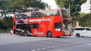 (LTA National Day Parade 2026: Majulah Singapura • Go Beyond!) SMB5002Y 965, SMB5049M 169 (LTA National Day Parade 2026: Majulah Singapura • Go Beyond!) SMB5002Y 965, SMB5049M 169