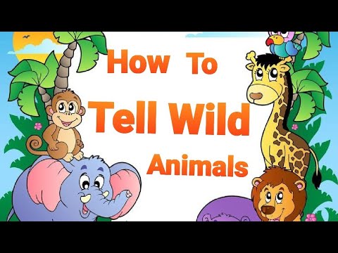 How to tell wild animals | class 10| - YouTube