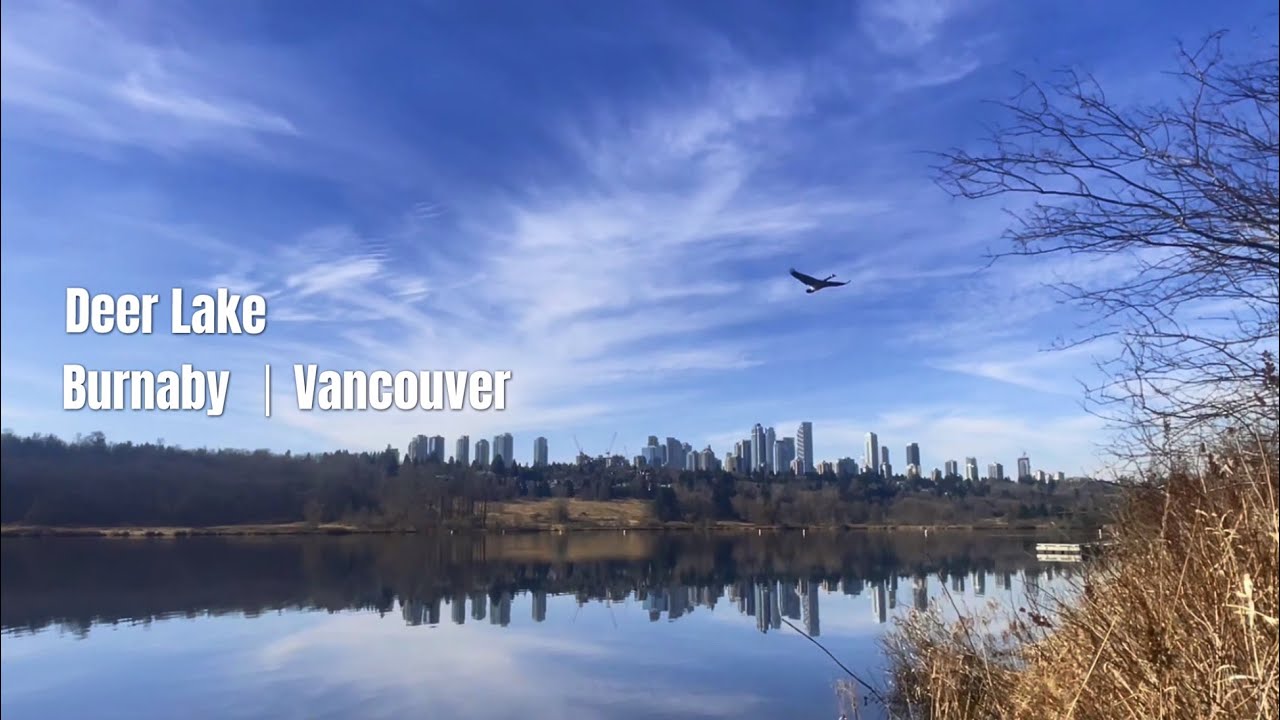 Deer Lake 社区 | Burnaby 本拿比 —— 大温地区本拿比市一个拥有者湖光山色绝佳景的高档社区