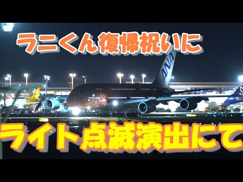ラーちゃんライト点灯演出にてラニくん復帰祝い】2025.07.22 4K撮影