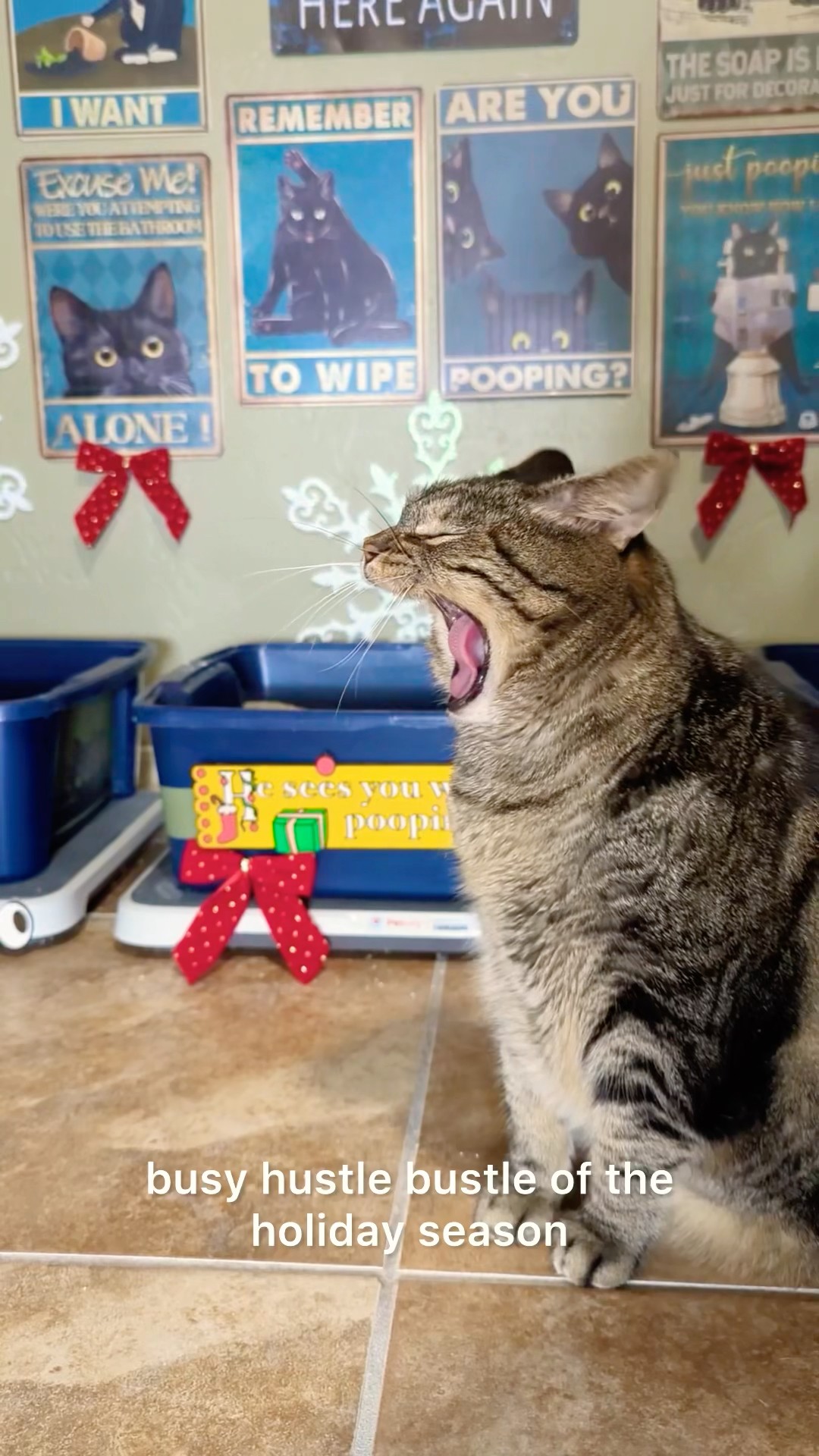 #ad Petivity is the Hero of the Holiday Season #PetivityPartner