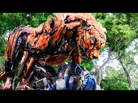 Die besten Maximals aus Transformers: Aufstieg der Bestien 🌀 4K