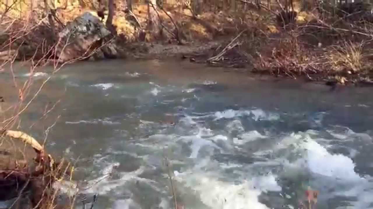 Alum Fork Saline River 3/28 YouTube