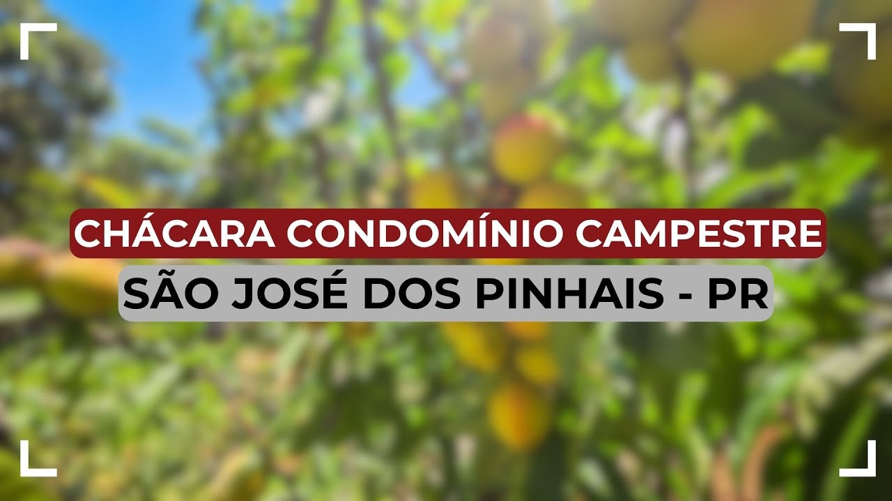 Chácara Faxina - São José dos Pinhais