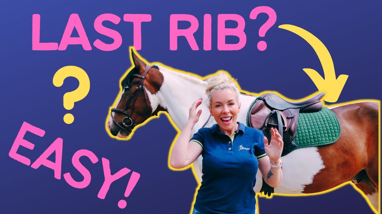 HOW TO FIND HORSE'S LAST RIB - CAN YOUR SADDLE GO PAST T18? - feat: Koda the Draught (Draft) Horse